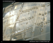 enterobacter cloacae mueller hinton agar